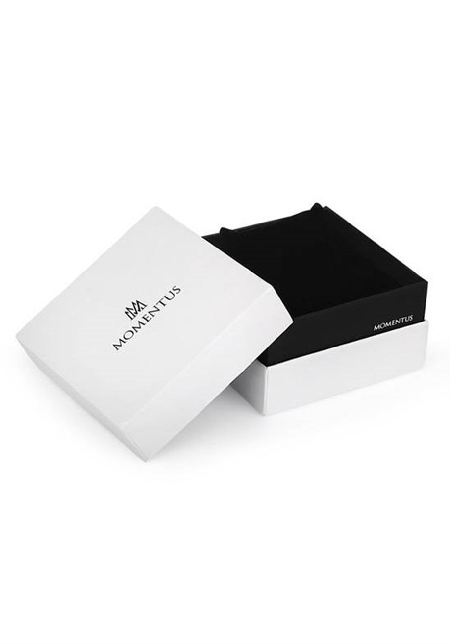 Momentus TM250S-02SS Erkek Kol Saati